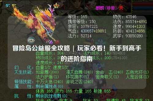 冒险岛公益服全攻略 | 玩家必看！新手到高手的进阶指南