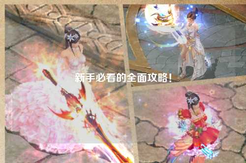 新手必看的全面攻略！