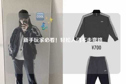 新手玩家必看！轻松入门不走弯路