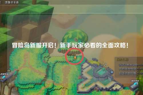 冒险岛新服开启！新手玩家必看的全面攻略！✨