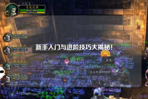 新手入门与进阶技巧大揭秘！