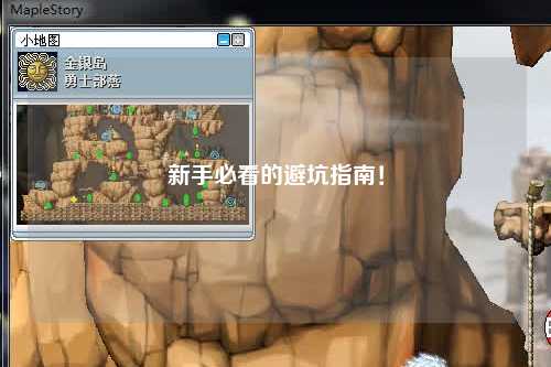 新手必看的避坑指南！