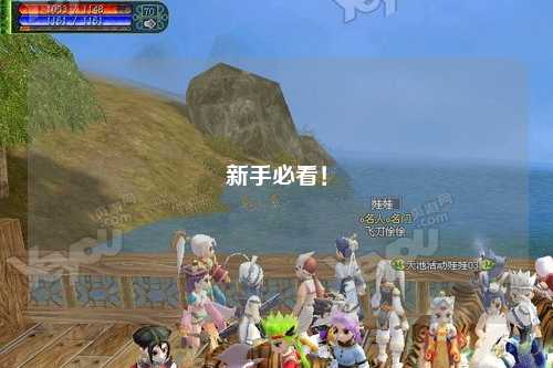 新手必看！