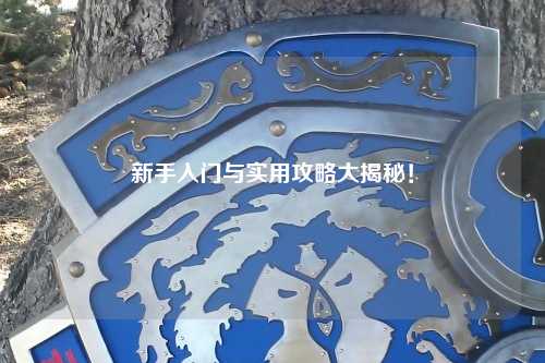 新手入门与实用攻略大揭秘！